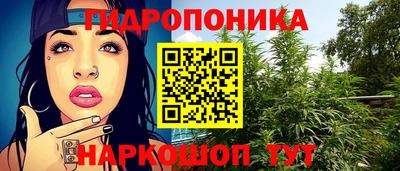 дмт Обь
