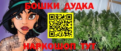 дмт Обь
