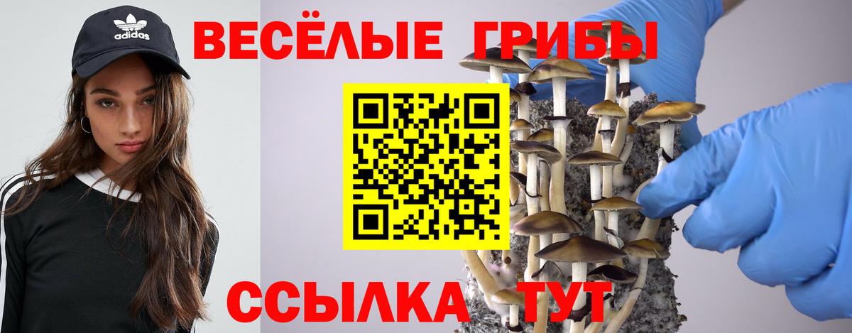 Псилоцибиновые грибы прущие грибы Сыктывкар